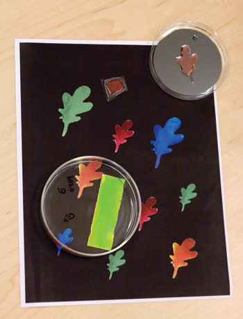 PTGel_LightGels1.jpg