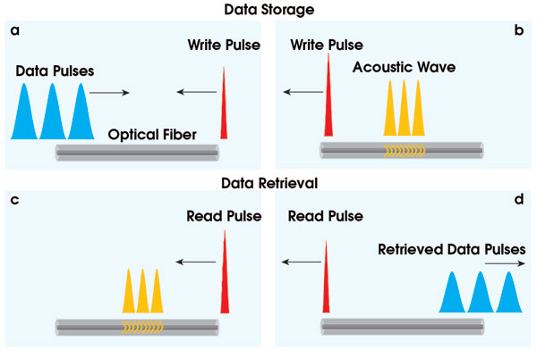 PTSimple_Illustration.jpg