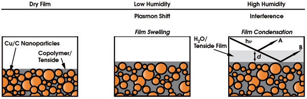 AAhumidity_Fig1_Scheme1.jpg