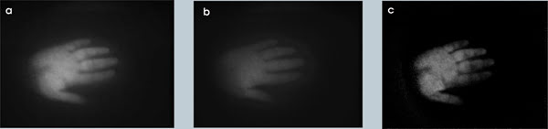AAhands_Horizontal.jpg