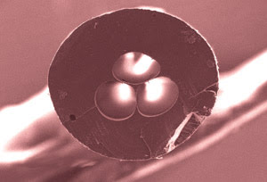 FiberFeat_Sydney_Fig1_color.jpg