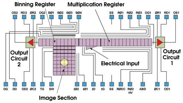 e2v_Fig5.jpg