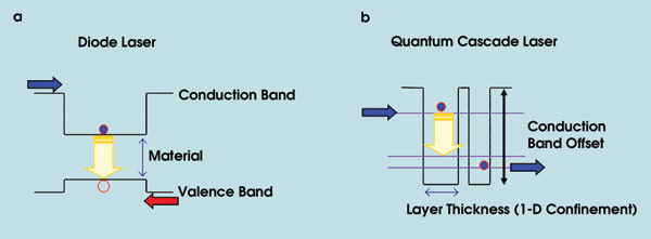 Harvard_fig1.jpg