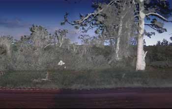 Surveilance-Feat_Fig-2_VisionSense.jpg