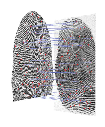 Surveilance-Feat_Fig-3_Match_up.jpg
