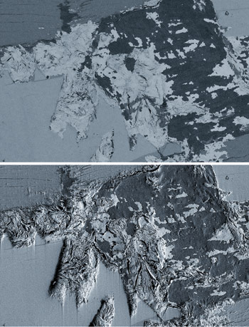Zeiss_Fig2.jpg