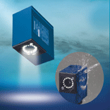 CCD VISION SENSOR