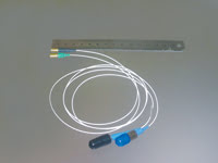 WT&amp;amp;T_Model-015.jpg