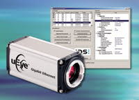 IDS.jpg