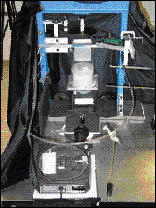 Jammed Beads Simulate Glass Transition