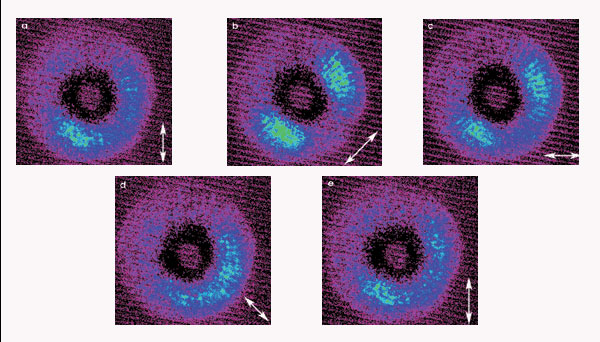 Fig3a_3e.jpg