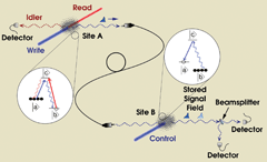 Quantum Memories Demonstrated