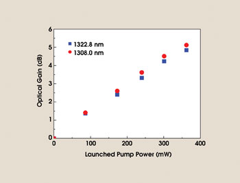 PRAmplification_Fig2.jpg