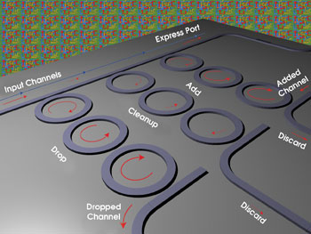 PRMicroRIng_Fig1.jpg