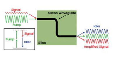 PRTiny_Figure1_2col.jpg
