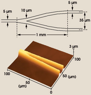 PRTungstates_Fig3_YJunction.jpg