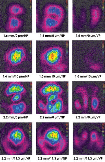 PRradiation_Fig2.jpg