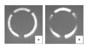PRPolarizer_AmirFig2.jpg