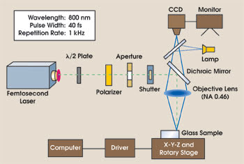 PRMicrofluidics_Fig1.jpg
