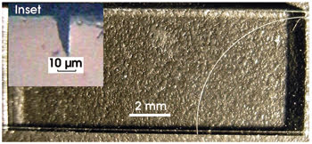 PRMicrofluidics_Fig2.jpg