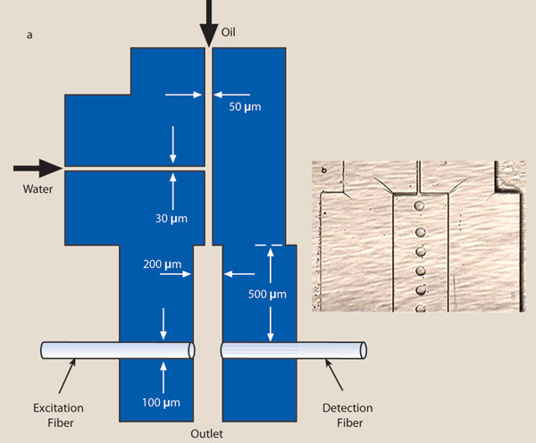 PRLasing_Fig1a.jpg