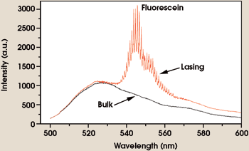 PRLasing_Fig3.gif