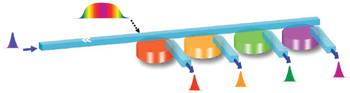 PRSilicon_Fig2.gif
