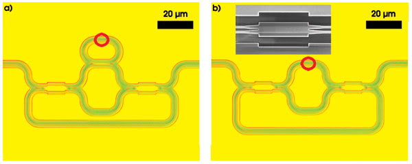 PRmicroring_Fig2.jpg