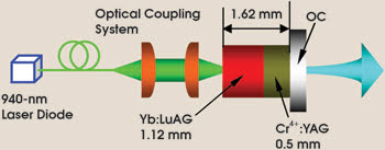 PRmicrochip_Fig1.jpg