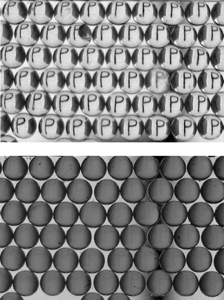 TWMicro_Lens4.gif