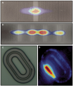 Hybrid Nanowire Components Show Promise for Photonics