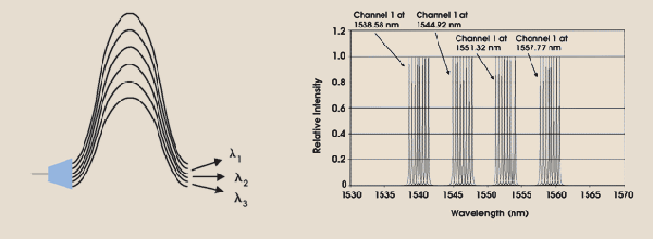 TWCyclic_Fig1_left.gif