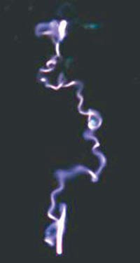 TWArc_Fig1_MotionCharacteri.jpg
