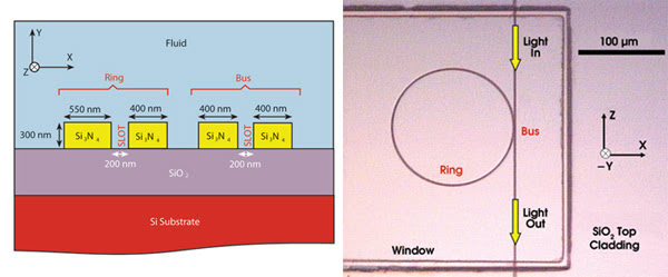 TWSlot_Fig1.jpg