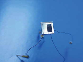 TWNIR_RMD_Figure1.jpg
