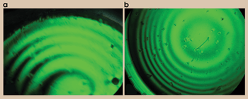 TWLens_Fig2.gif