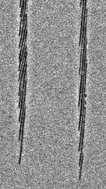 TWQuill_LaserWriting_Fig2.jpg