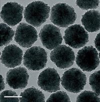 TWCrystal_Fig1.jpg