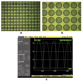 TWmicrolens_Fig1.jpg