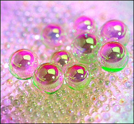 Ball-Lens-Group-PR.jpg