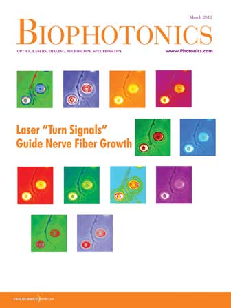 BioPhotonics | Volume #19 | Issue 3