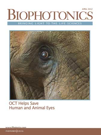 BioPhotonics | Volume #19 | Issue 4