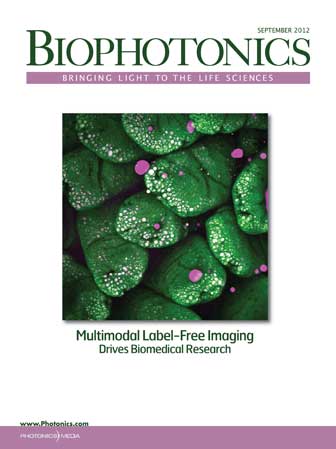 BioPhotonics | Volume #19 | Issue 7
