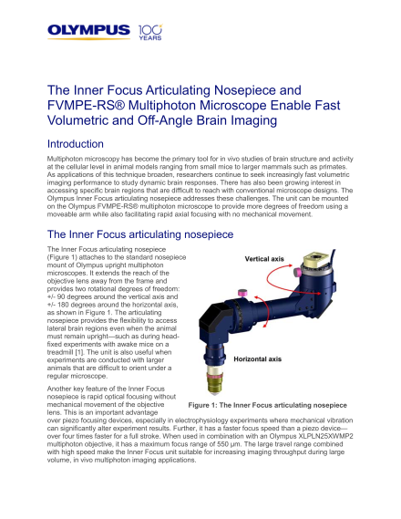 Fast Volumetric and Off-Angle Brain Imaging with the FVMPE-RS<sup>® </sup> Multiphoton Microscope