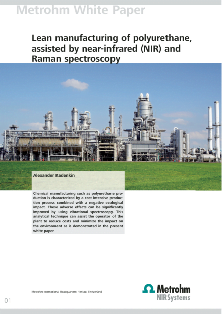 Lean Manufacturing of Polyurethane, Assisted by Near-Infrared (NIR) and Raman Spectroscopy
