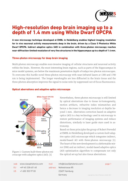 High-resolution deep brain imaging up to a depth of 1.4 mm using White Dwarf OPCPA