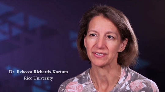 A Conversation With Rebecca Richards-Kortum