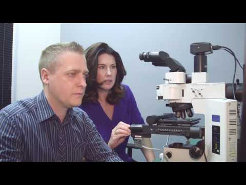 Lumenera - Beyond the Camera