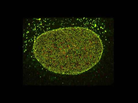 Olympus - Animation of a 3D Volume