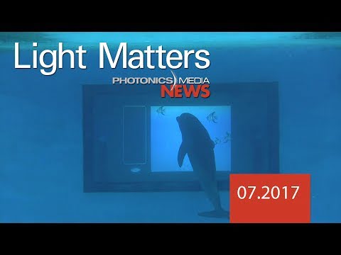 Dolphins Prove Their Smarts with Touchscreen - LIGHT MATTERS 07.2017